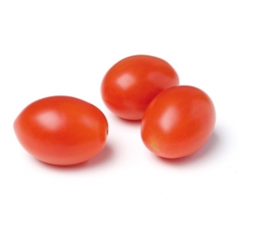 עגבניות תמר מיני